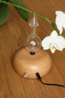 Crystal Micro Diffuser Met Houten Voet | Alambika