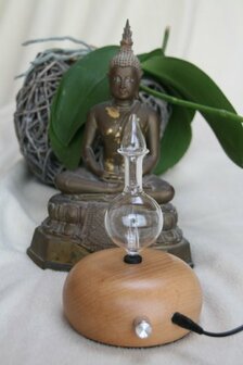 Crystal Micro Diffuser Met Houten Voet | Alambika