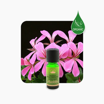 Biologische Rose Geranium essenti&euml;le olie | Alambika