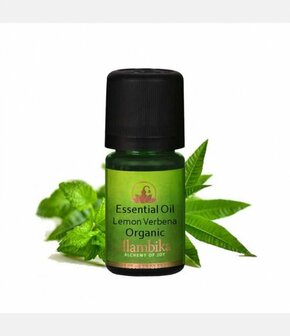 Biologische Lemon Verbena essenti&euml;le olie | Alambika