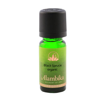 Biologische zwarte Spar essenti&euml;le olie | Alambika