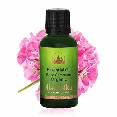 Biologische Rose Geranium essentiële olie | Alambika