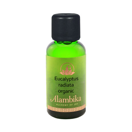 Biologische Eucalyptus Radiata essentiële olie | Alambika
