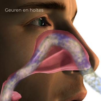 Hooikoorts verlichten