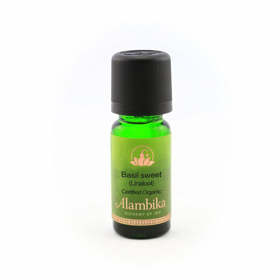 Alambika - Biologische Etherische olie: Basil Sweet (Linalool) / Zoete Basilicum  Alambika - Biologische Etherische olie: Basil Sweet (Linalool) / Zoete Basilicum
