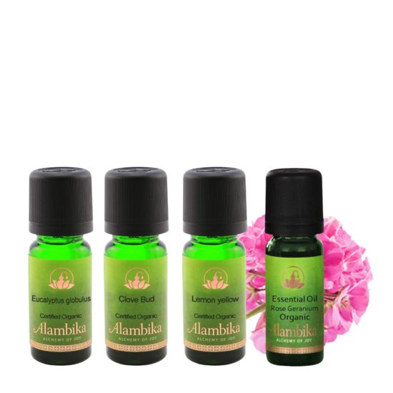 Alambika - Reuk Trainingset